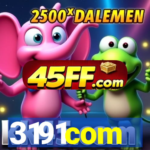3191com