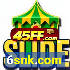 6snk.com