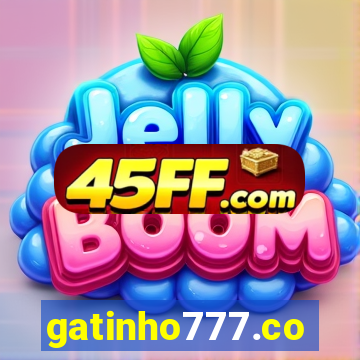 gatinho777.co